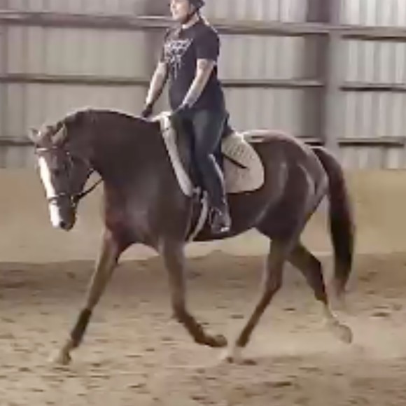 Meet your Posher, Eva - Picture 1 of 1